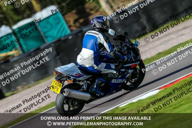Oulton Park 20th March 2020;PJ Motorsport Photography 2020;anglesey;brands hatch;cadwell park;croft;donington park;enduro digital images;event digital images;eventdigitalimages;mallory;no limits;oulton park;peter wileman photography;racing digital images;silverstone;snetterton;trackday digital images;trackday photos;vmcc banbury run;welsh 2 day enduro
